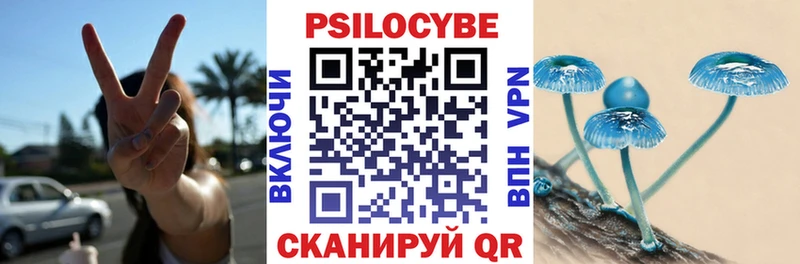 наркота  Хотьково  Галлюциногенные грибы Cubensis 